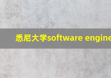 悉尼大学software engineer